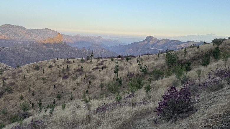 View from the Parador Cruz de Tejeda breakfast buffet