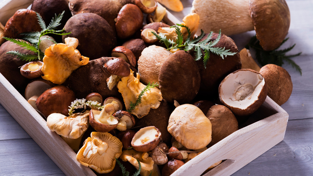 Basket full of mushroom varieties