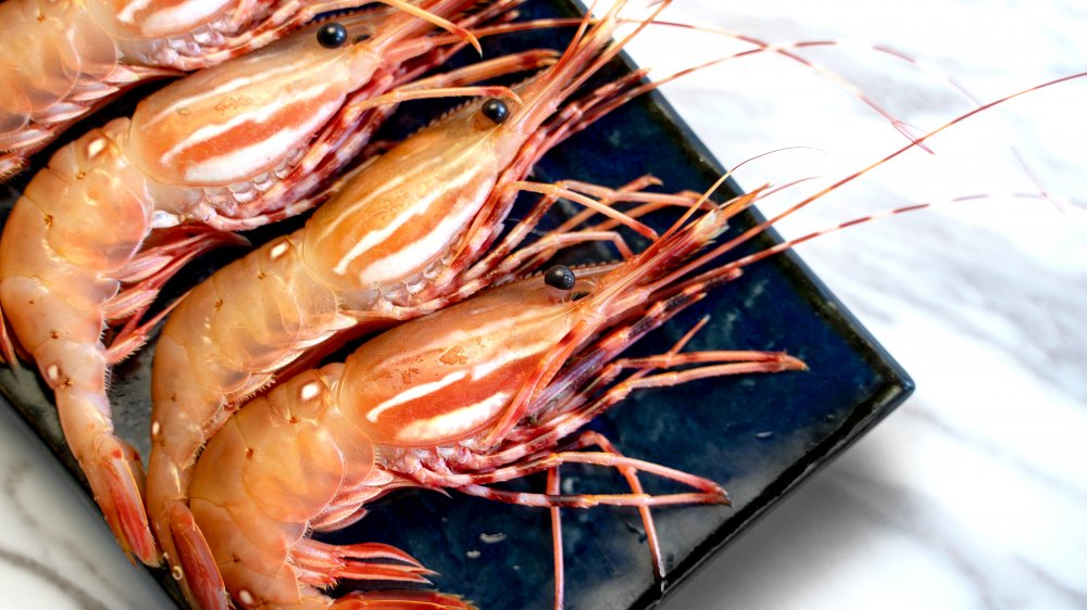 Pink spot prawns on a black plate with heads, legs, and antennae.