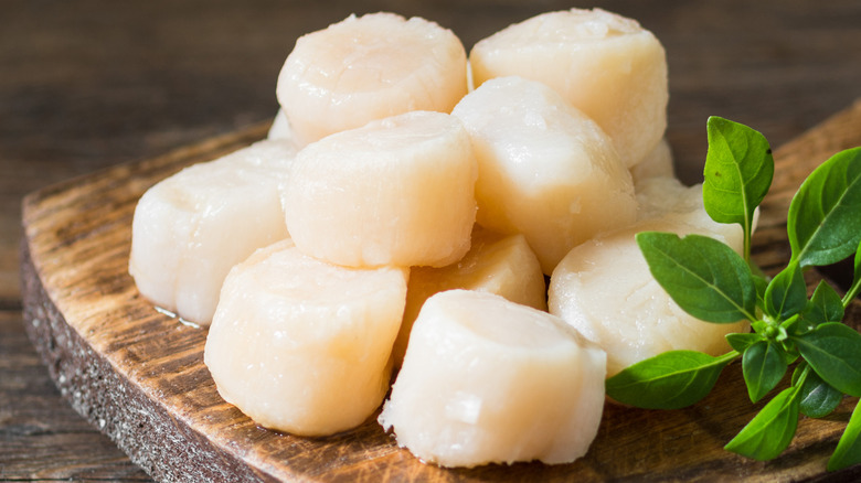 Raw scallops