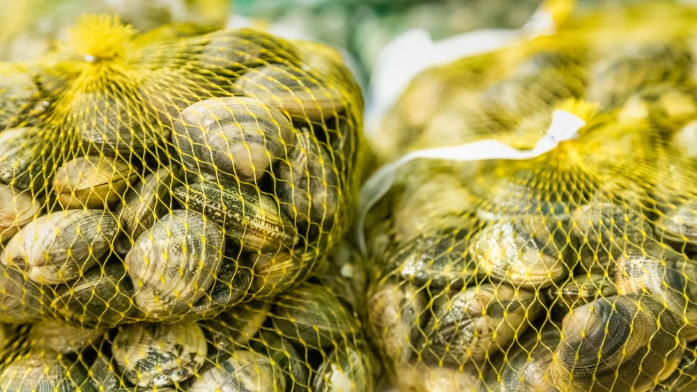 Closeup of bags of fresh clams