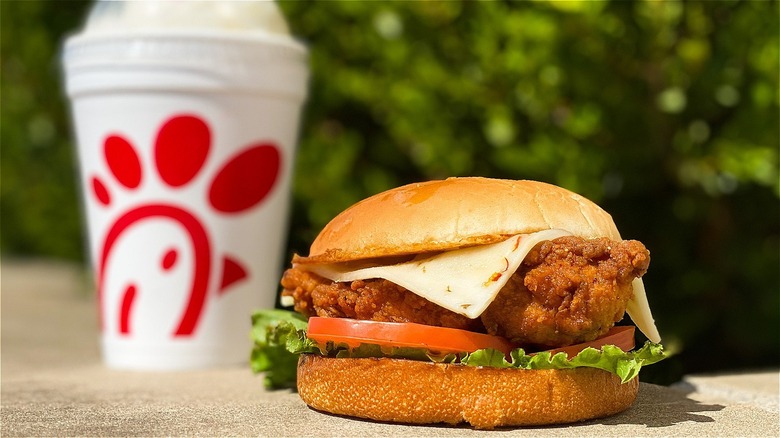 Chick-fil-A chicken sandwich