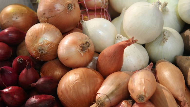 A variety of types of shallots and onions