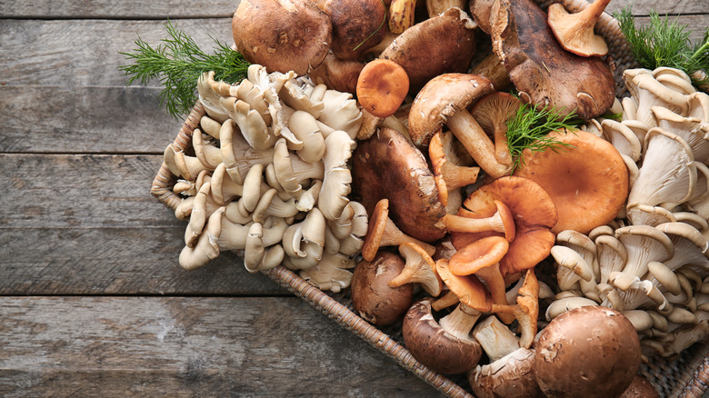 Array of mushrooms in wicker basket