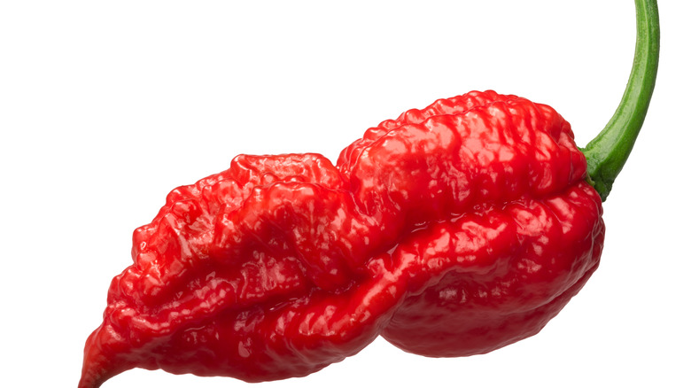 Closeup of ghost pepper