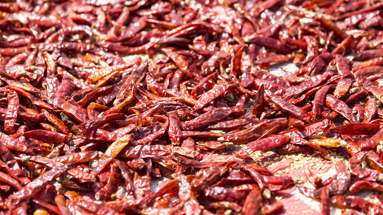 Red peppers drying out