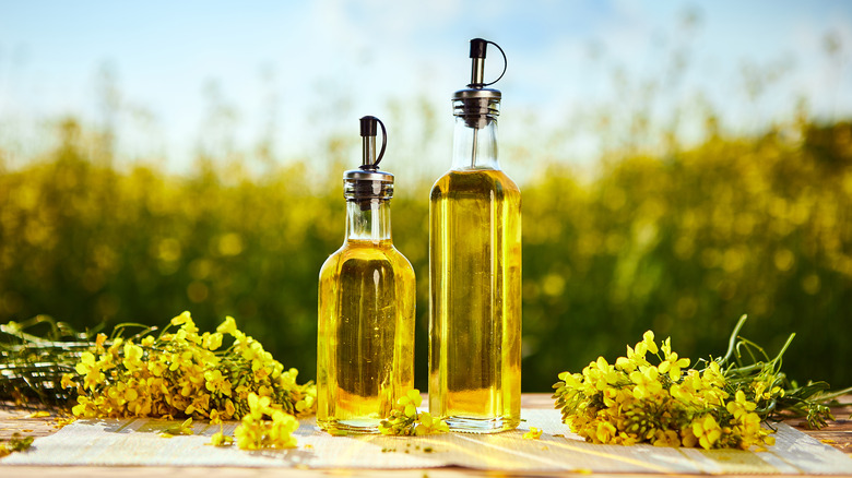 rapeseed and canola oil bottles