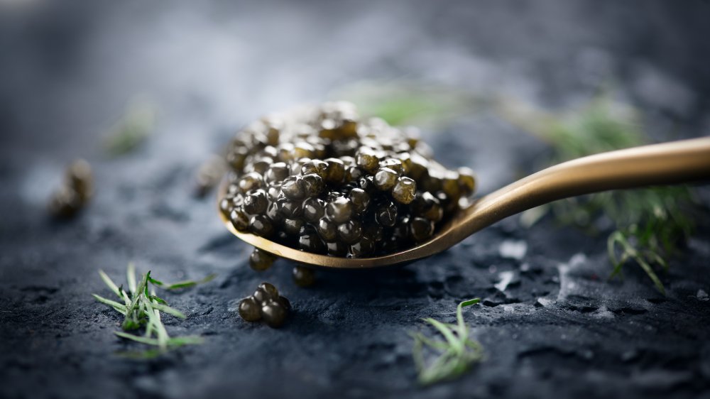 Sturgeon caviar in a spoon