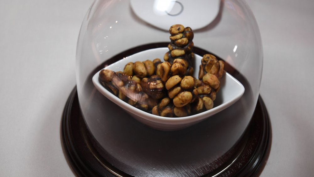 Kopi luwak