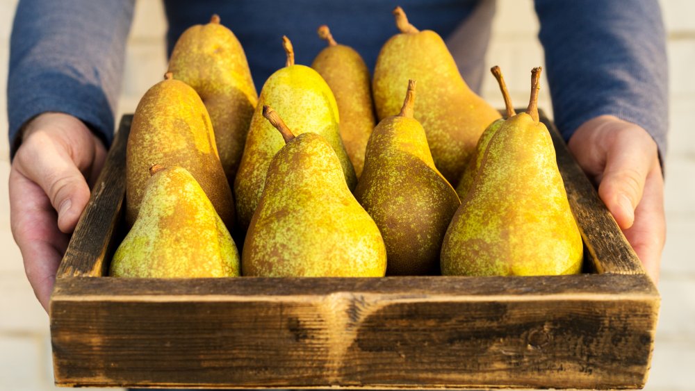 fresh pears being presented in a wooden tray