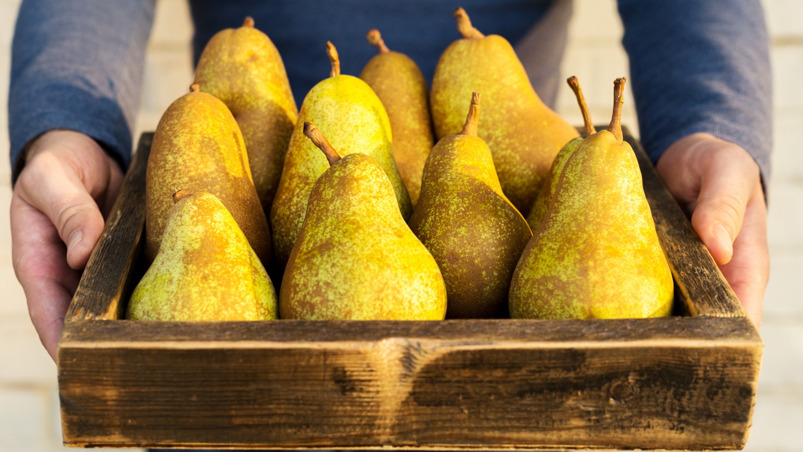 this-is-the-most-expensive-pear-in-the-world