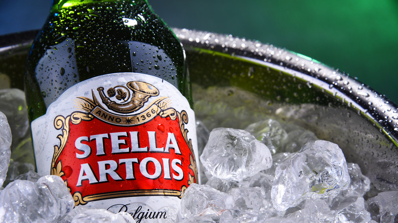 Close of a bottle of Stella Artois bottle on ice