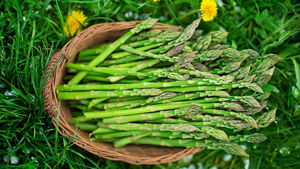 fresh asparagus 