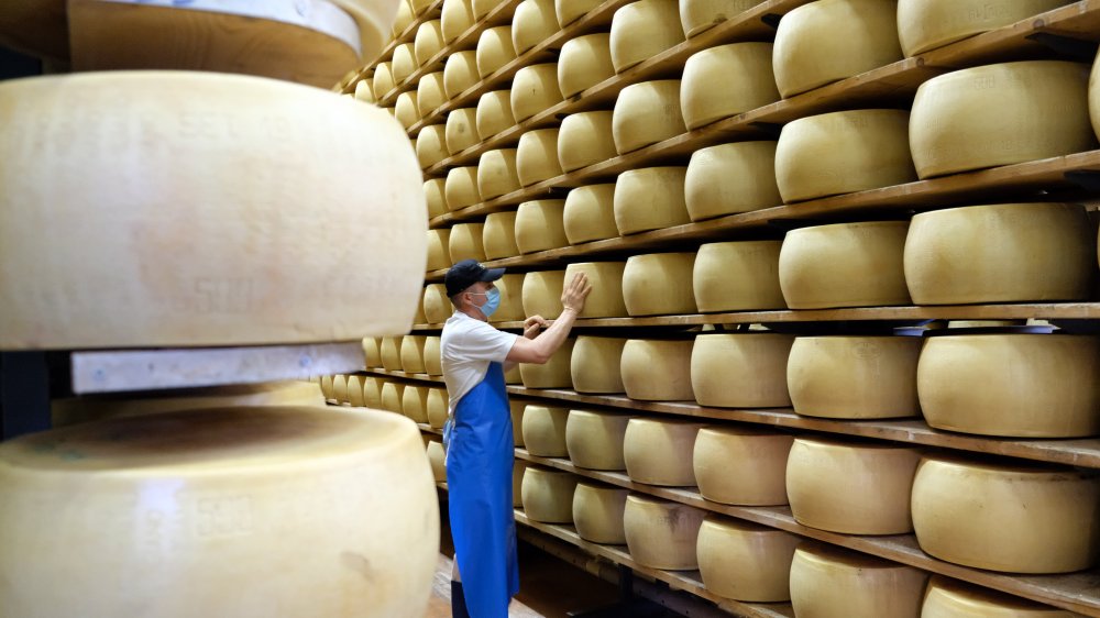 Cheese
