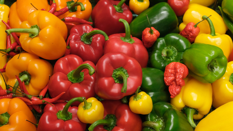 A variety of bell peppers