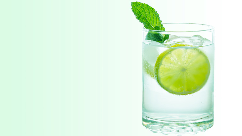 vodka and tonic with lime