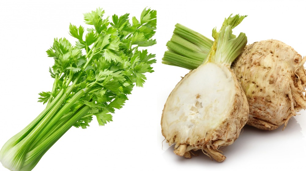 Split image with celery on the left and celeriac on the right 