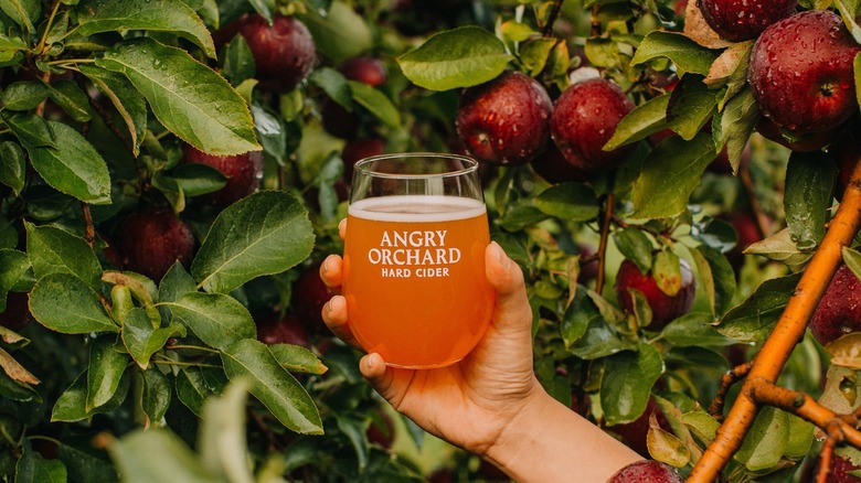 Angry Orchard cider