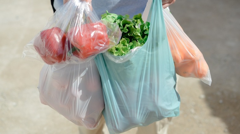 Plastic bags filled with groceries
