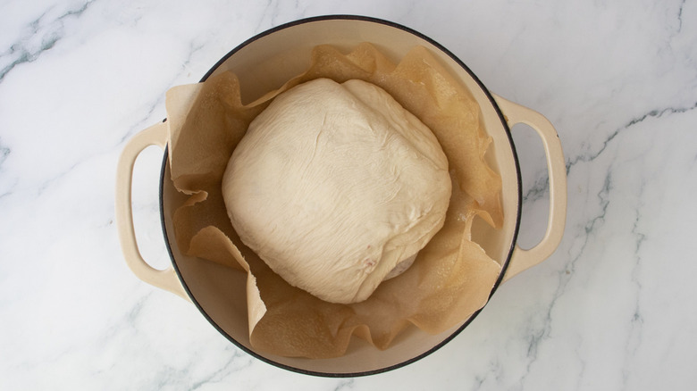 Bread dough in Dutch oven