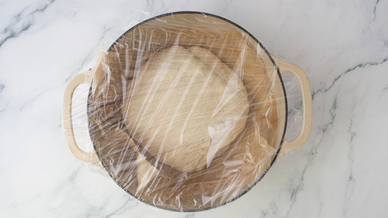 Dough ball in Dutch oven covered with plastic