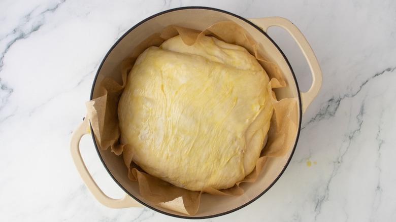 Oil coated dough in Dutch oven
