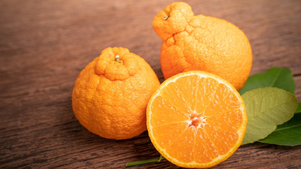 Sumo Citrus on wooden table