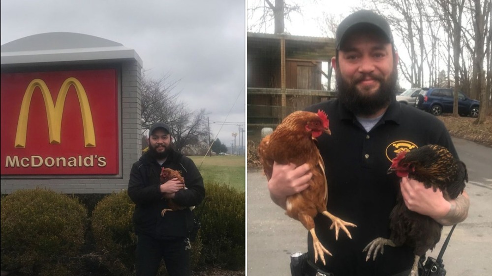 Police officer holding chickens at McDonald's