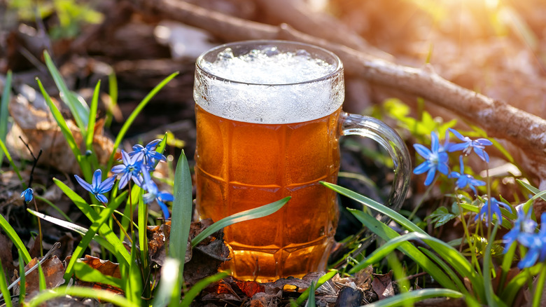 Glass of beer in grass