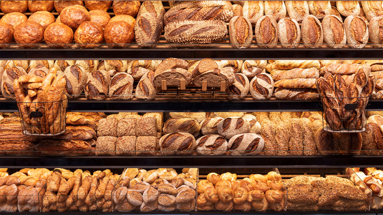 Loaves of bread in rows at bakery