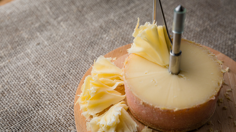 Girolle slicing Tête de Moine