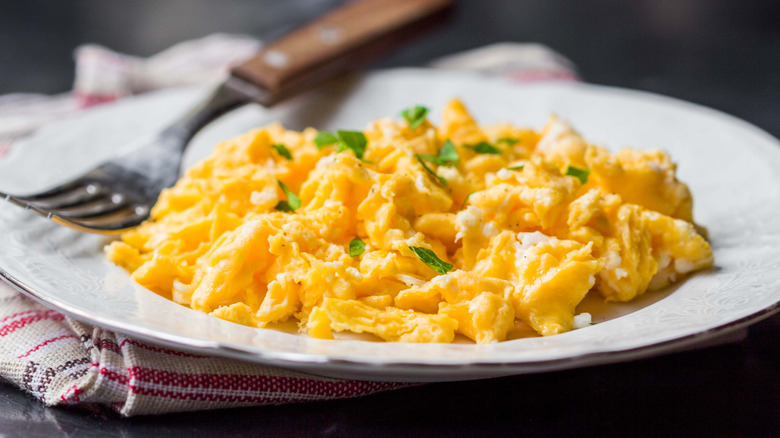 Scrambled eggs on a white plate