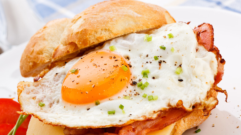 Fried egg and bacon sandwich