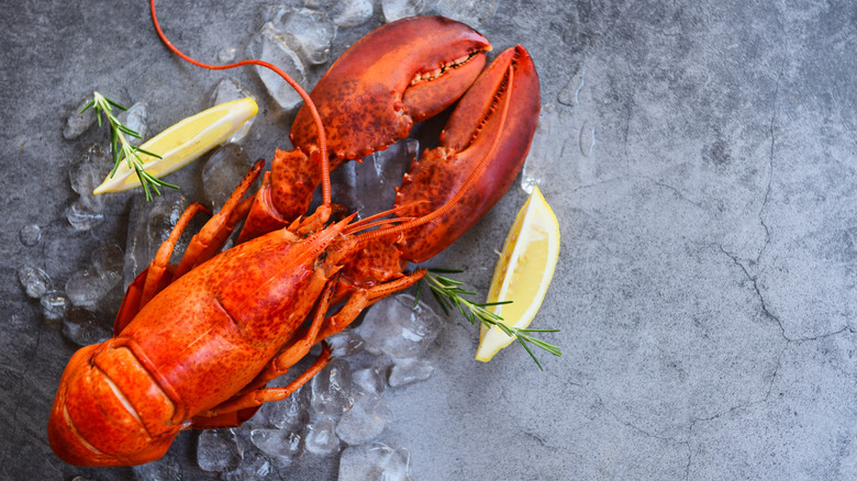 Lobster with lemon on table