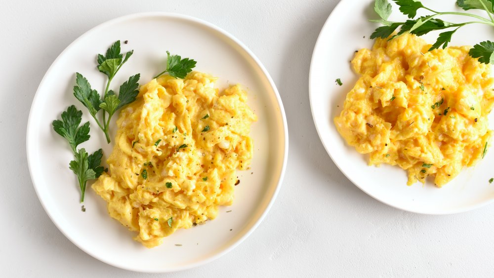 scrambled eggs on two plates