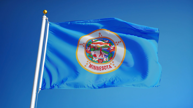 Minnesota state flag