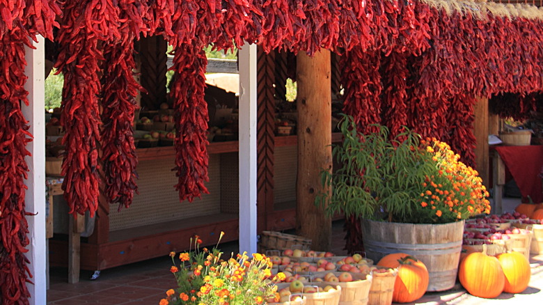 Farmer's market in Albuquerque