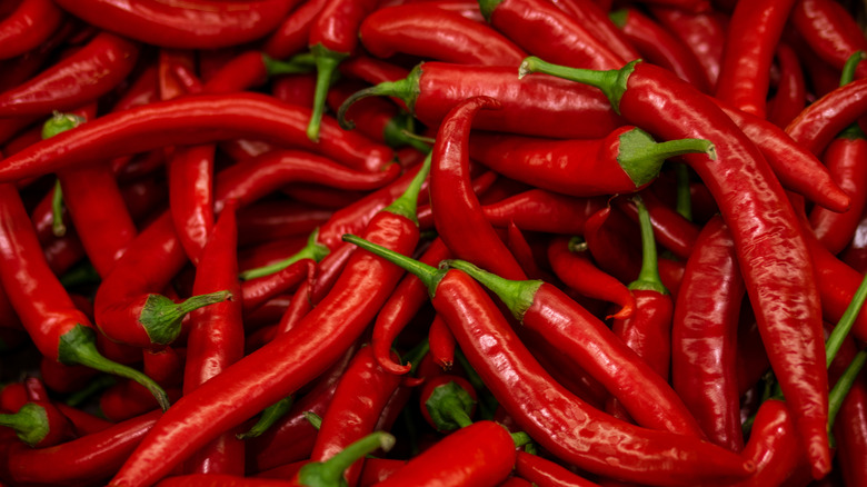 Pile of red chili peppers