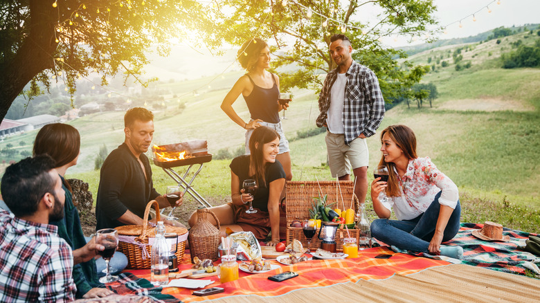 Group of friends having picnic in park