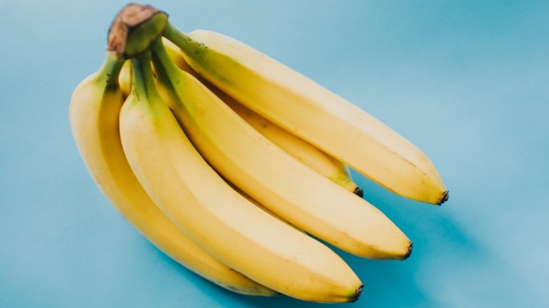 Bunch of bananas on blue backdrop
