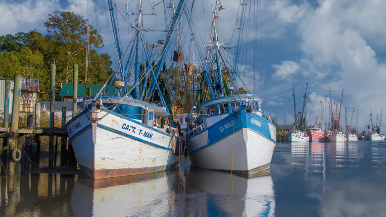 Shrimp boat docked in a Georgia river