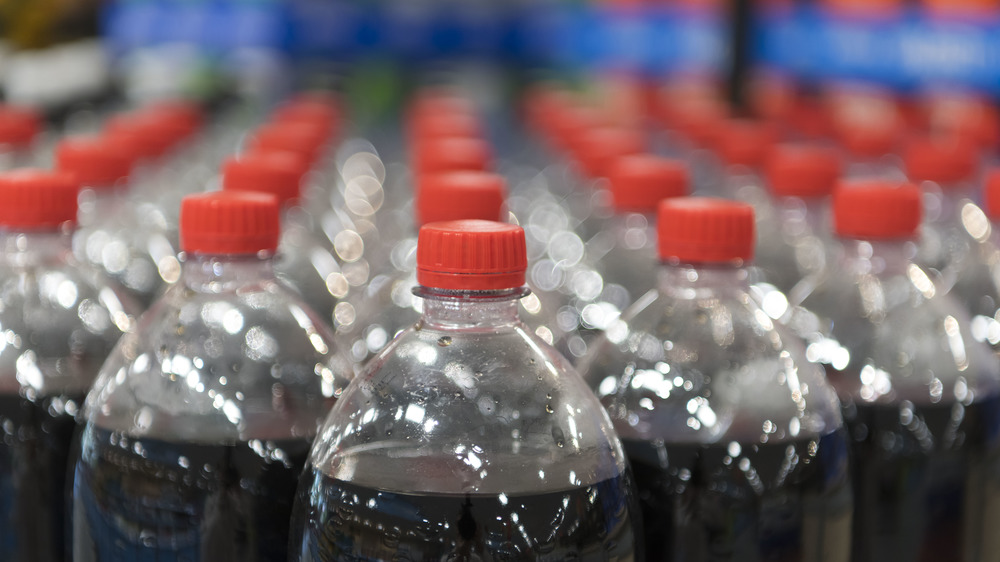 All those plastic bottles of Coke? Yeah, they're nothing compared to what's behind the camera. One day, we'll wake up to discover we too are plastic bottles of Coke.