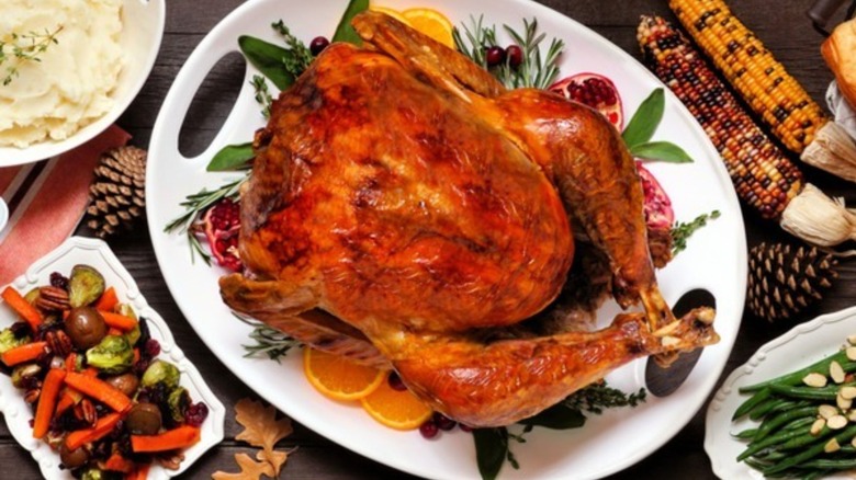 plate of Thanksgiving turkey