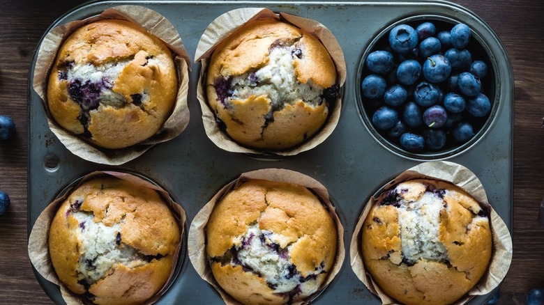 Muffin tin filled with blueberry muffins and berries