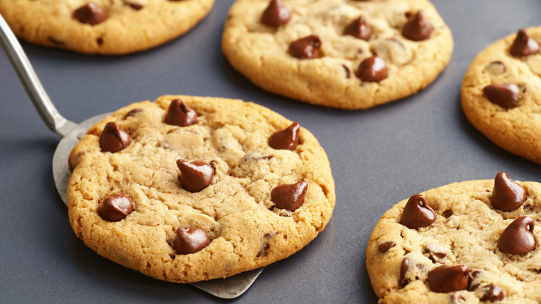 Spatula lifting a chocolate chip cookie from a tray