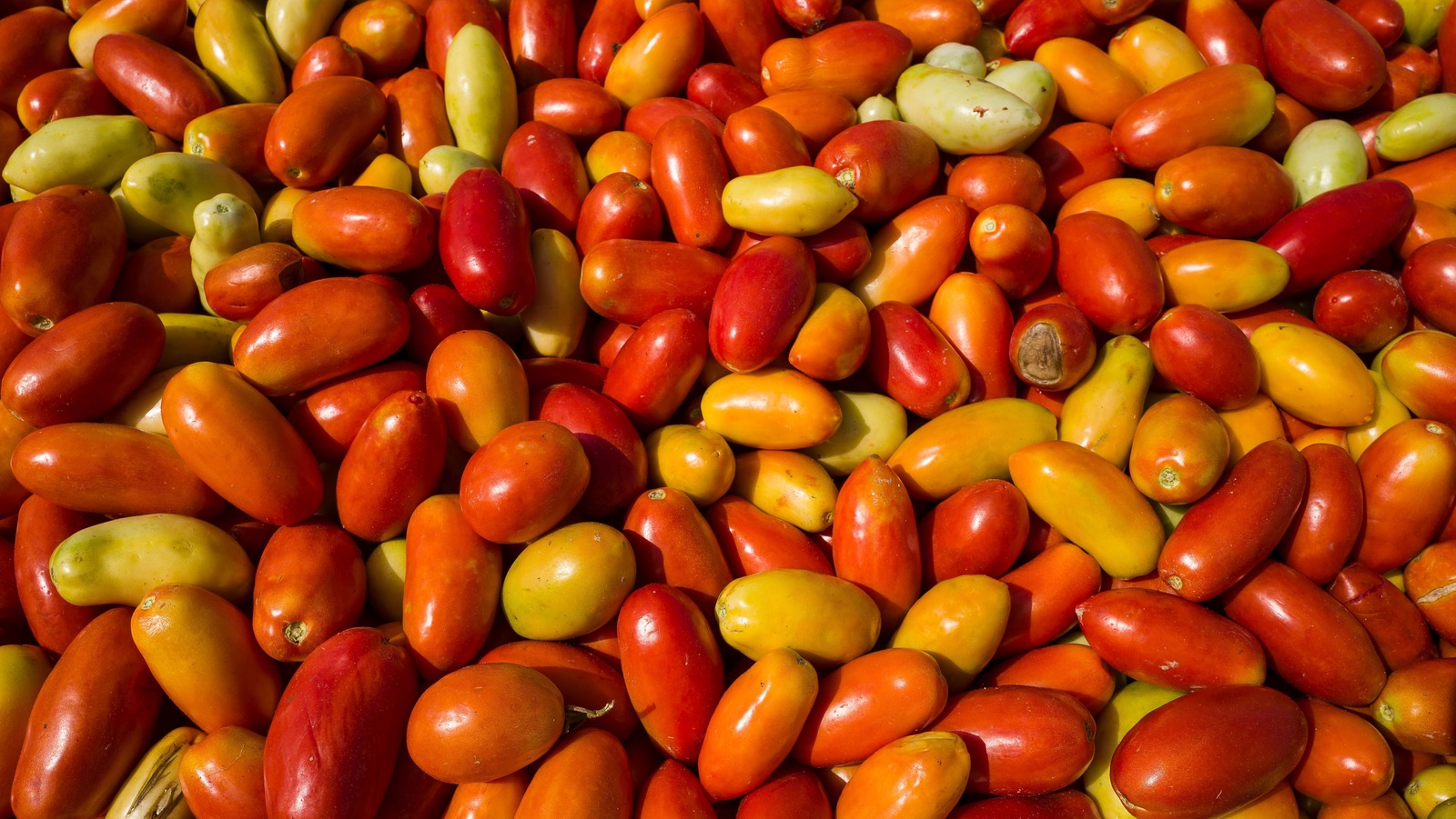 This Viral TikTok Hack Is The Perfect Use Of Summer Tomatoes