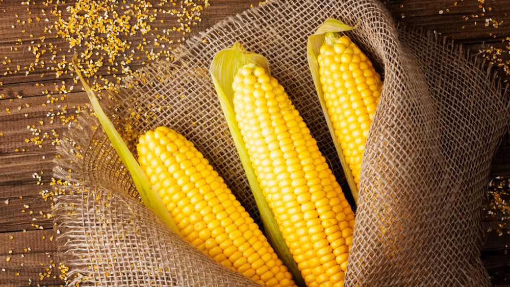 Husked corn on a table