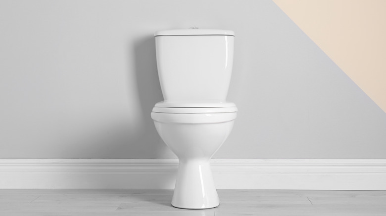 toiley bowl