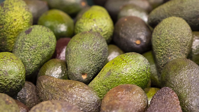 A pile of avocados at varying ripeness