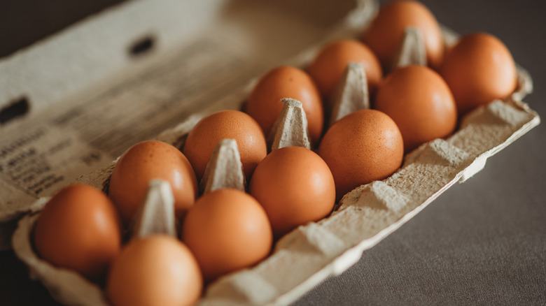 dozen brown eggs in carton